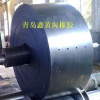 耐高溫鋼絲繩提升帶、防撕裂耐高溫鋼絲繩斗提機(jī)提升帶