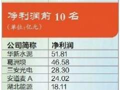 鄂股上演冰火兩重天 百年水泥企業(yè)躍居“盈利王”
