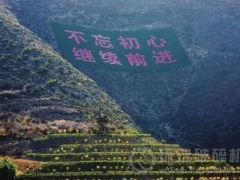 鎮(zhèn)江年內(nèi)將完成443公頃長(zhǎng)江經(jīng)濟(jì)帶廢棄礦山生態(tài)修復(fù)任務(wù)！