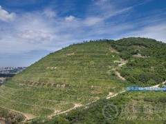澠池縣： 全力推動(dòng)生態(tài)修復(fù)，和非煤礦山復(fù)工復(fù)產(chǎn)！