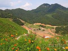 今年全省建70個綠色礦山，明年起不達(dá)標(biāo)企業(yè)限期整改！
