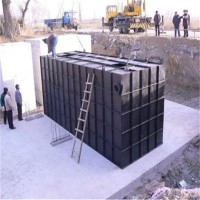 大型 生活污水處理成套設(shè)備 廠家