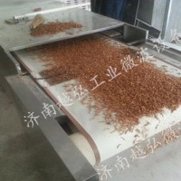 節(jié)能微波紅豆干燥設(shè)備