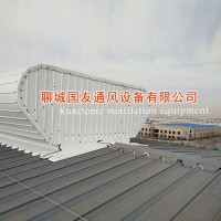 興寧市制造鋼結(jié)構(gòu)采光通風天窗 耐用高效 節(jié)電設(shè)備