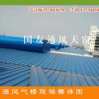 十堰專業(yè)制作節(jié)電通風(fēng)設(shè)備  鋼結(jié)構(gòu)采光通風(fēng)天窗 耐用高效