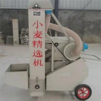 油菜籽電動(dòng)凈選機(jī) 震動(dòng)篩子糧食精選機(jī) 大豆水稻除雜風(fēng)選比重篩
