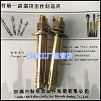 特盾電梯壁虎電梯膨脹，電梯螺絲電梯絲，國標(biāo)膨脹螺絲，各種壁虎膨脹，永年廠家直營